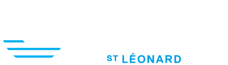 LSSL_Logo_Blanc